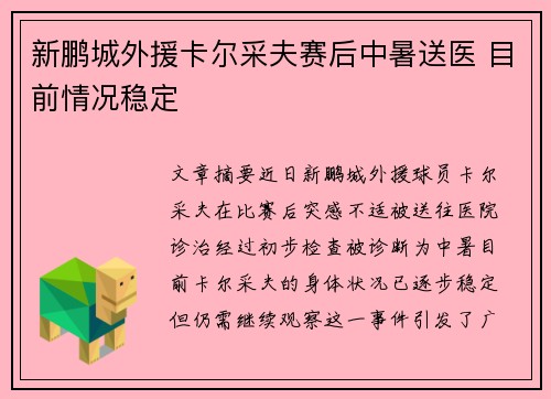 新鹏城外援卡尔采夫赛后中暑送医 目前情况稳定