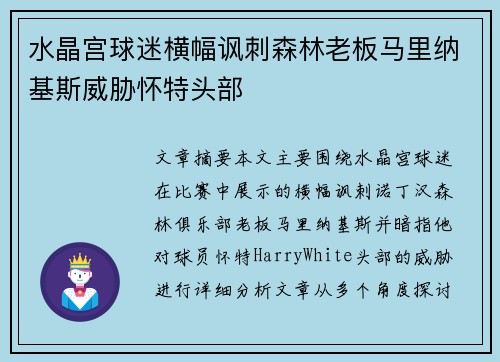 水晶宫球迷横幅讽刺森林老板马里纳基斯威胁怀特头部